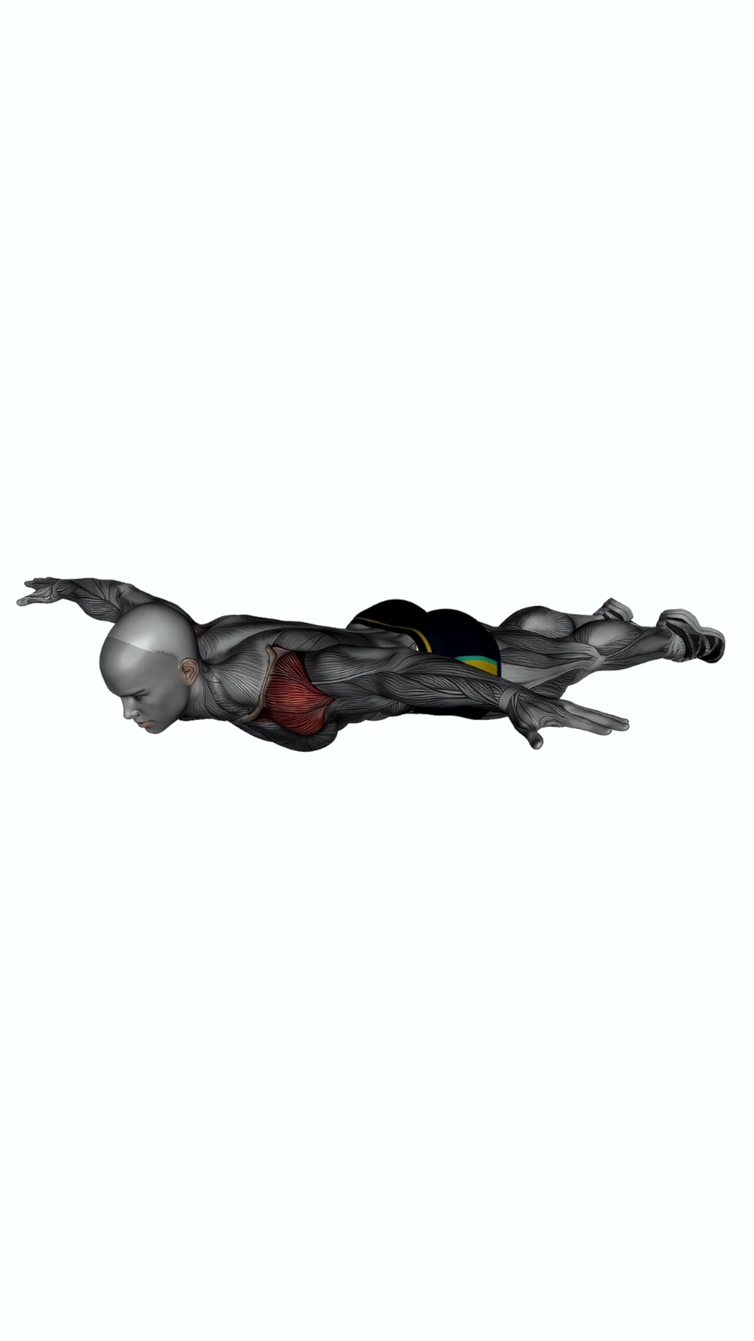 Lying Lateral Raises Bodyweight