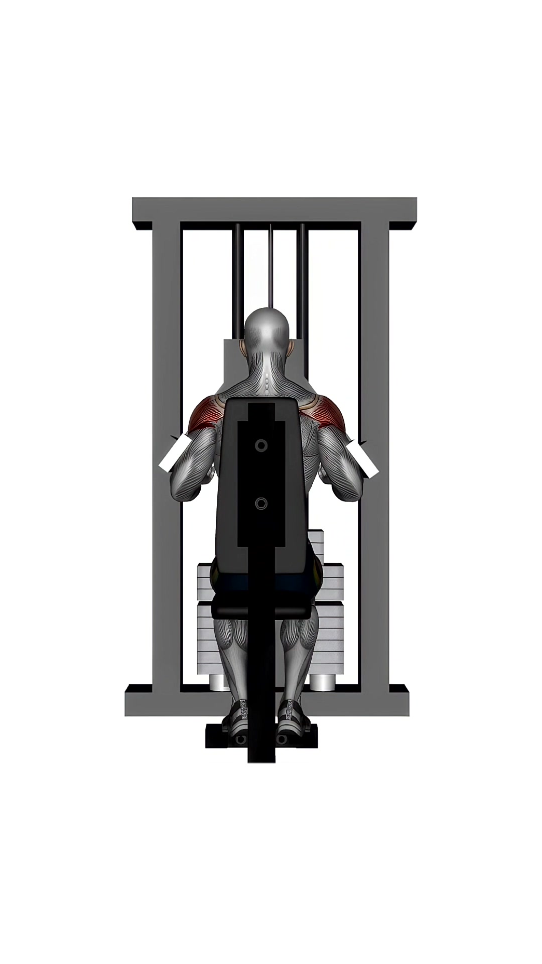 Machine Lateral Raise