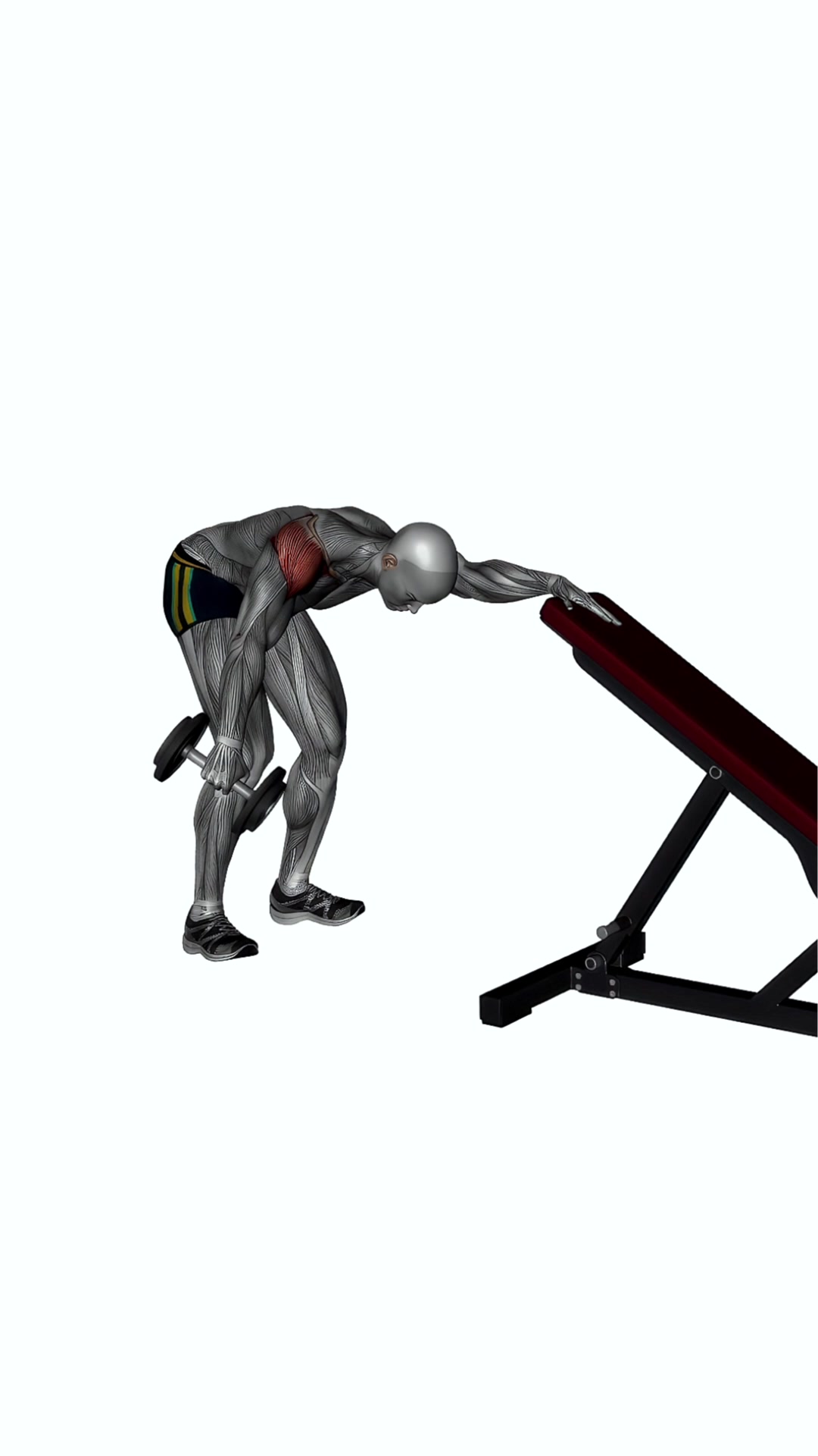 One Arm Reverse Dumbbell Fly