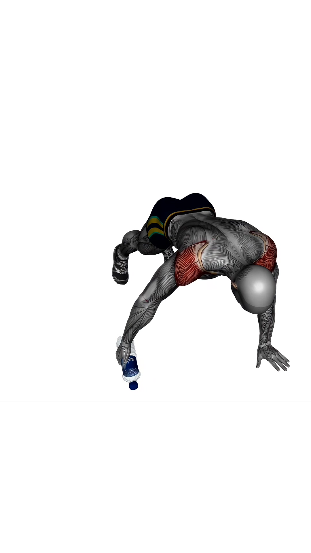 Plank Reverse Fly With Bottle
