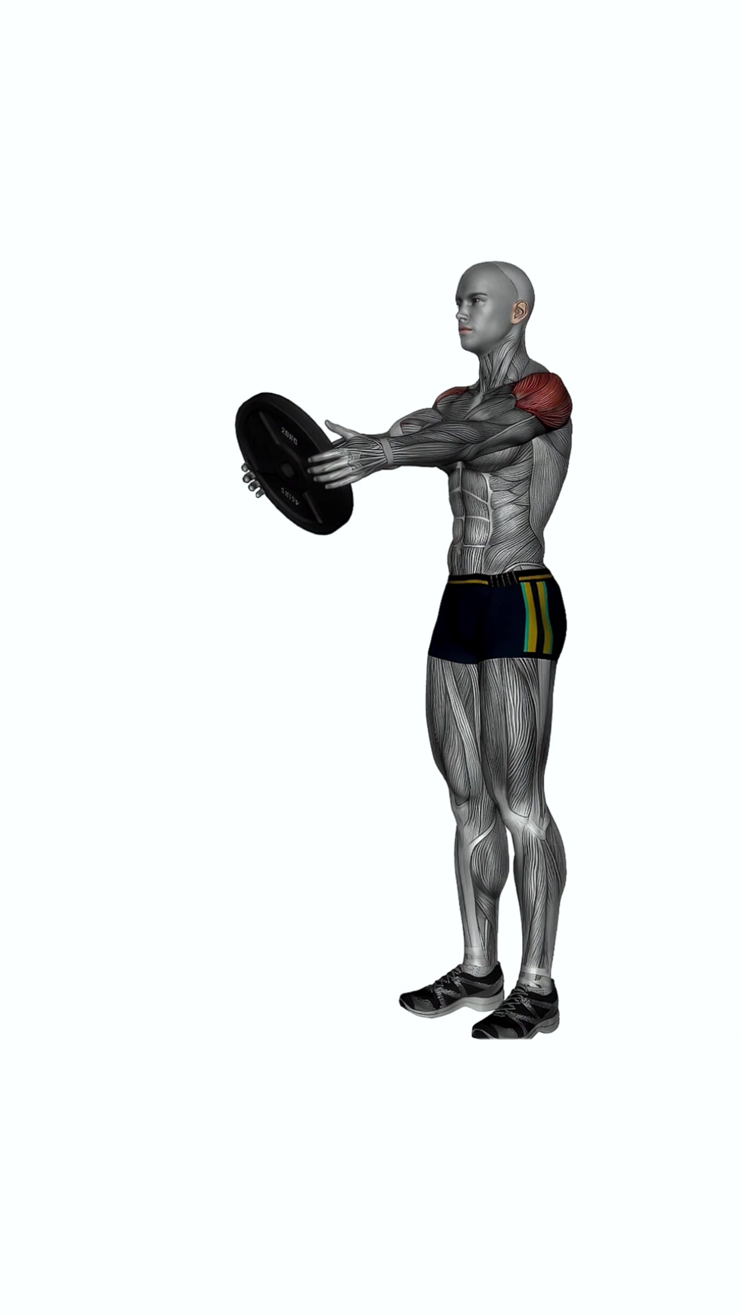 Plate Front Raise