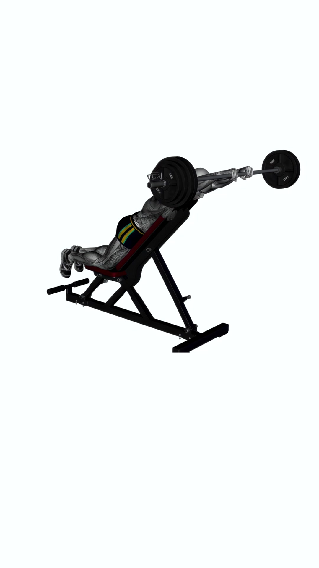 Prone Front Raises Barbell On Bench