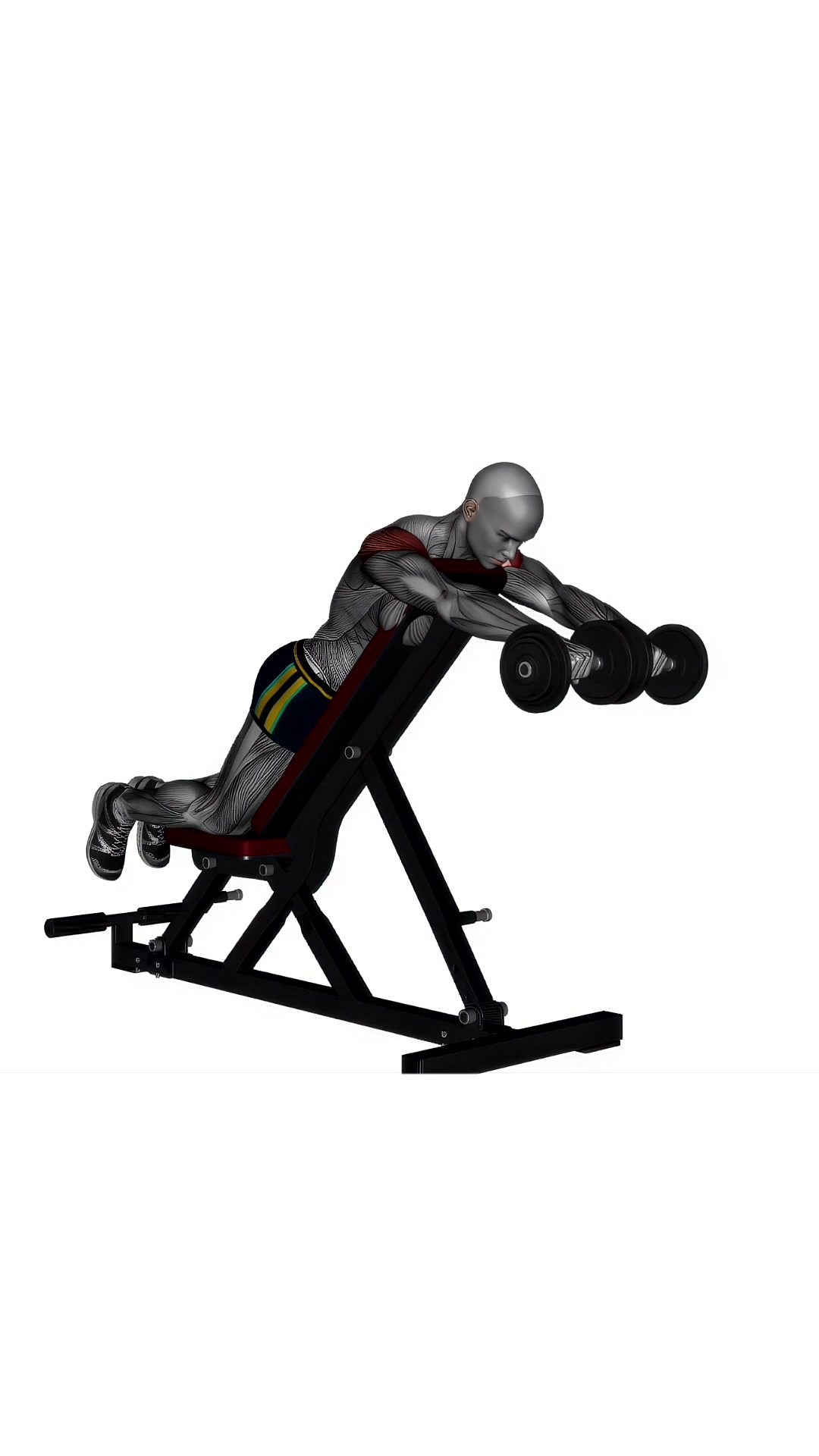 Prone Front Raises Dumbbell On Bench