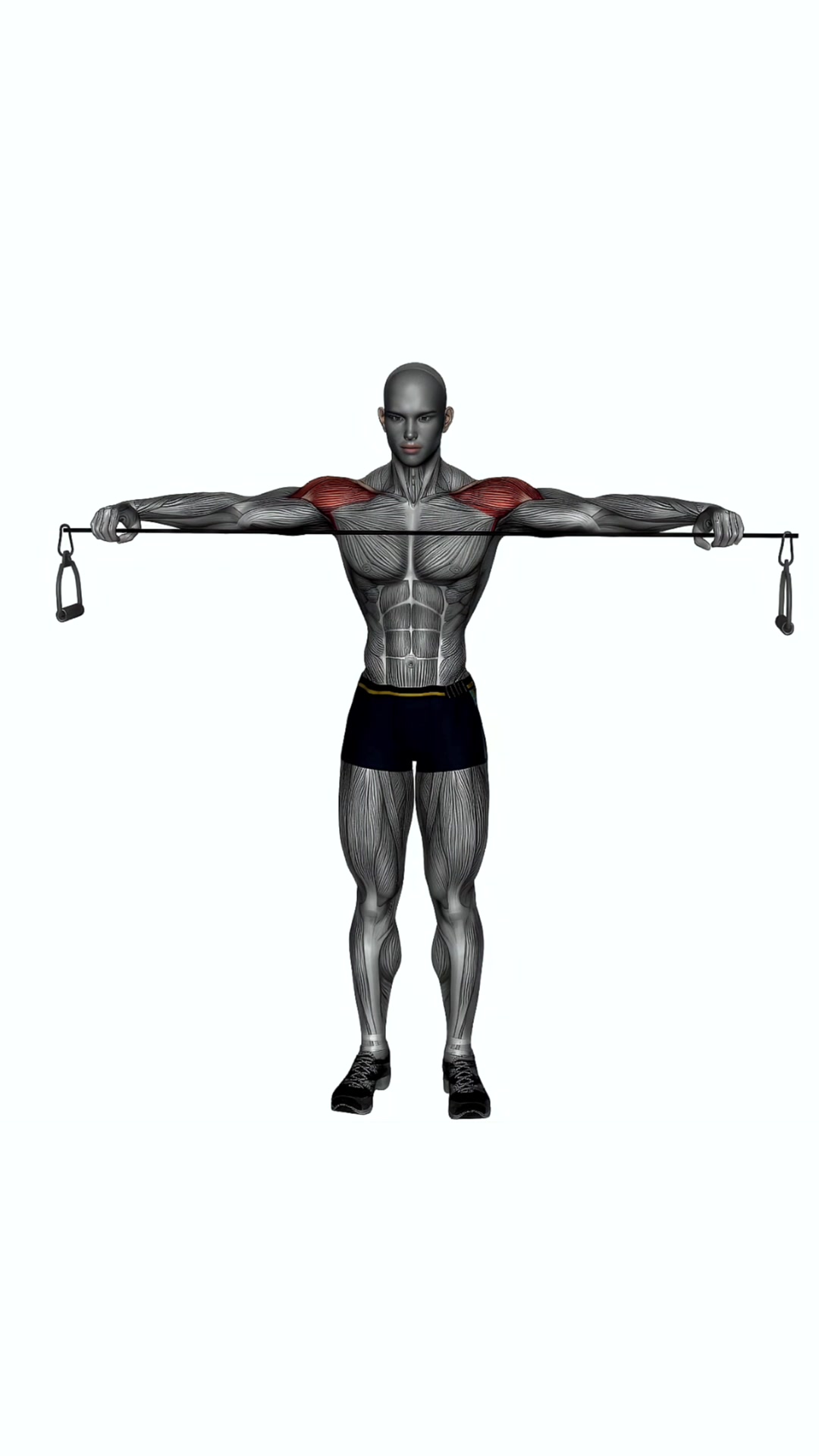Pull Apart Cable Resistance Band