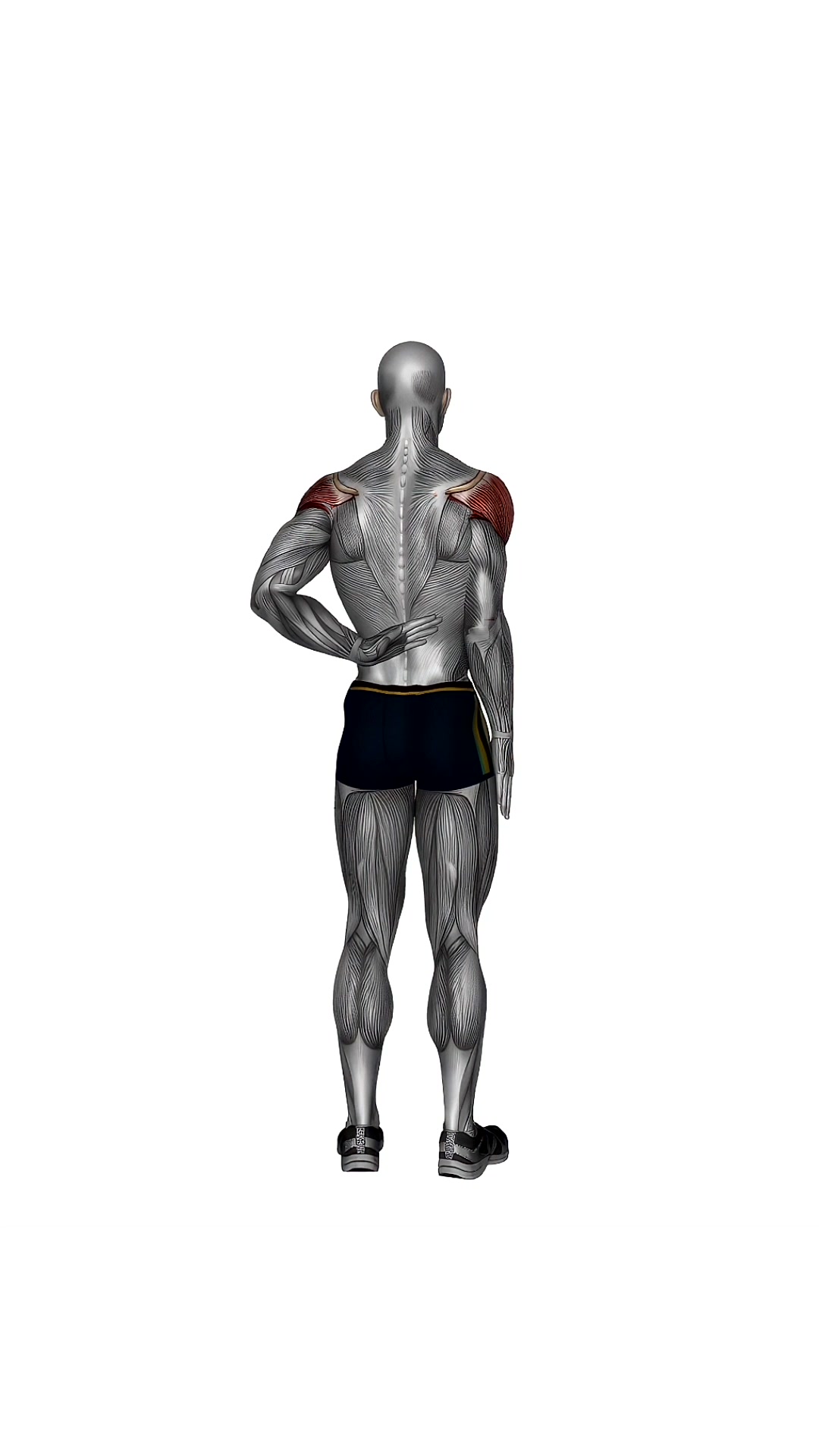Reaching Up Shoulder Stretch