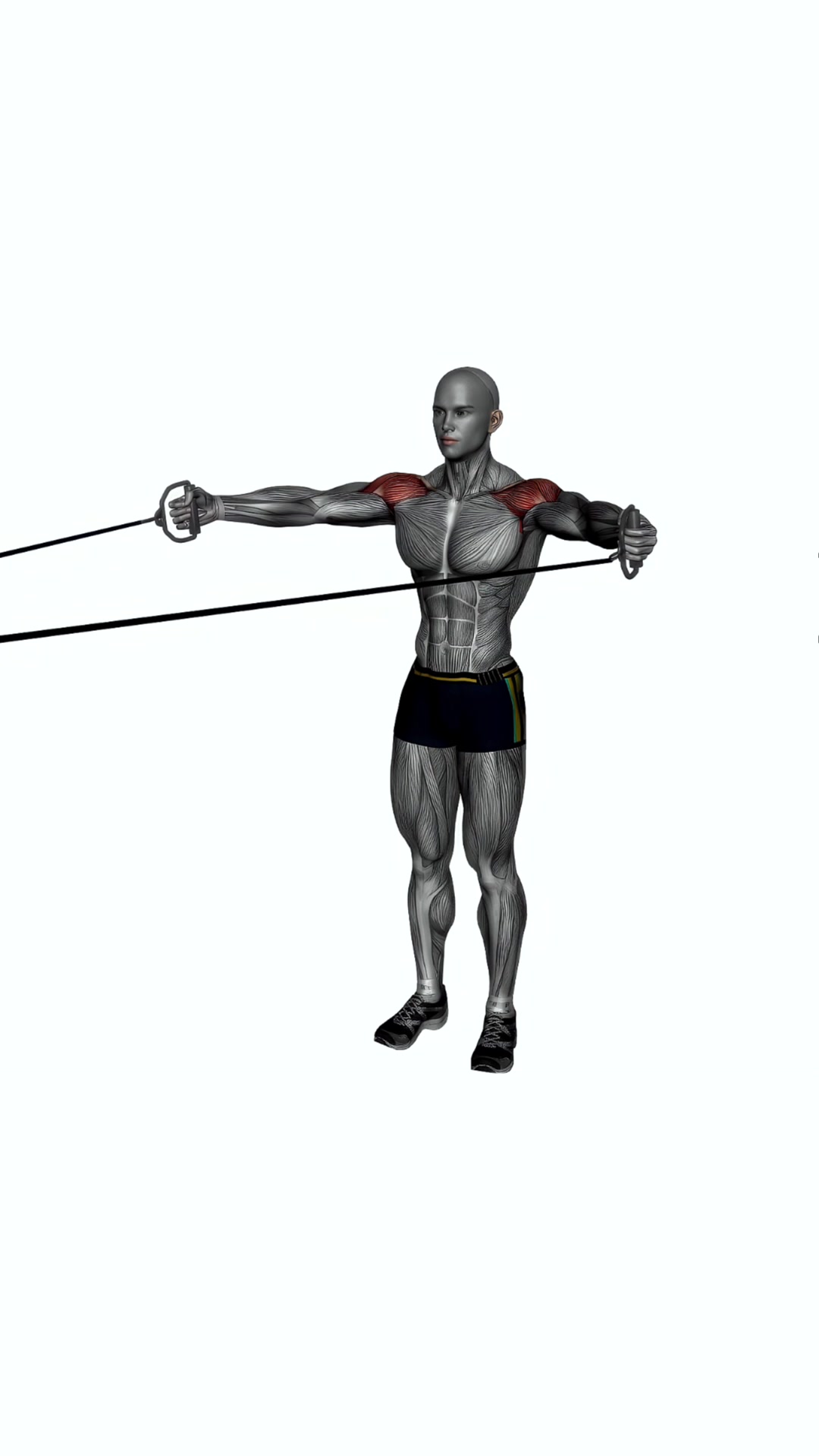 Rear Deltoid Fly Cable Resistance Band