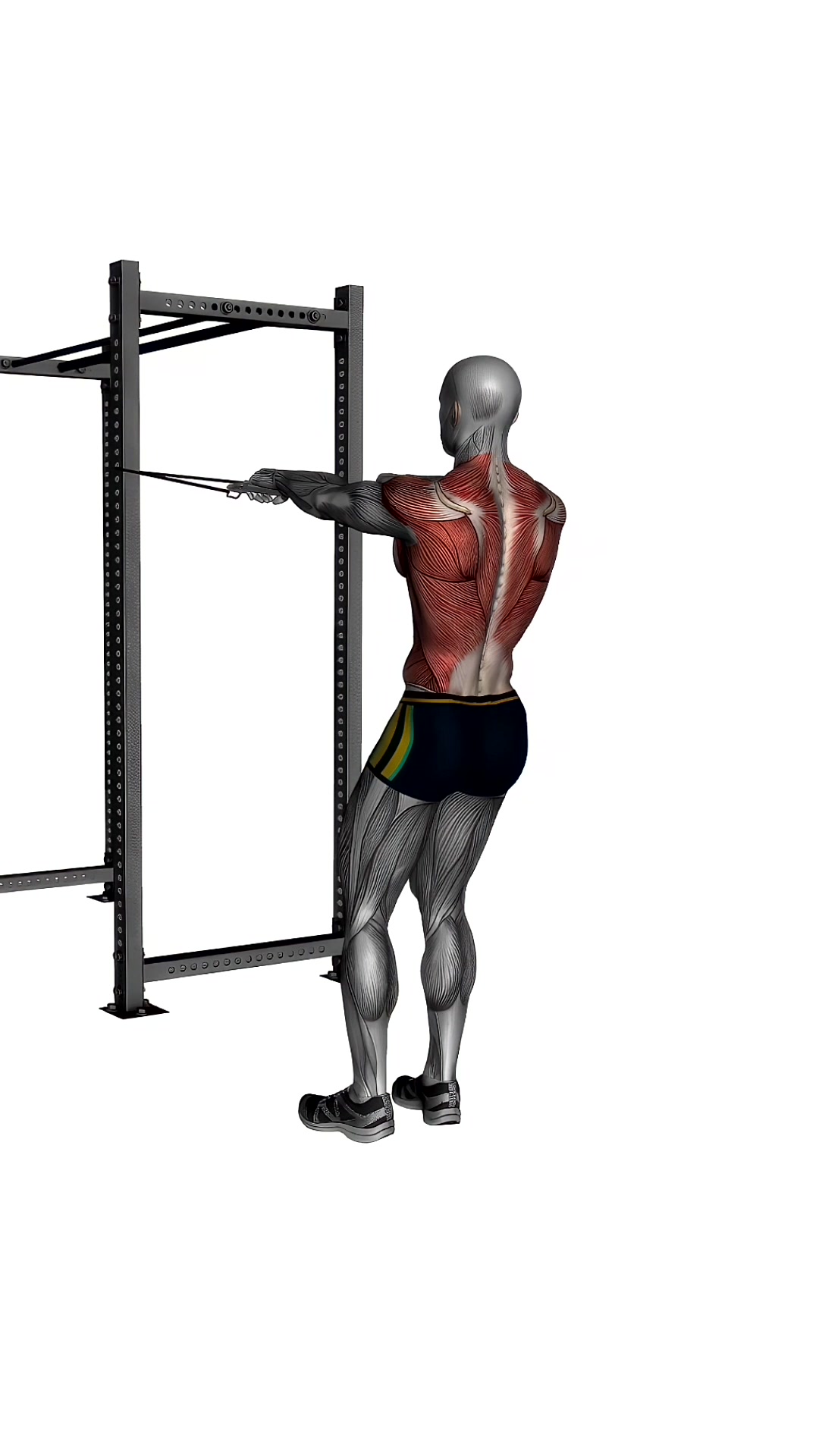 Resistance Bands Facepull