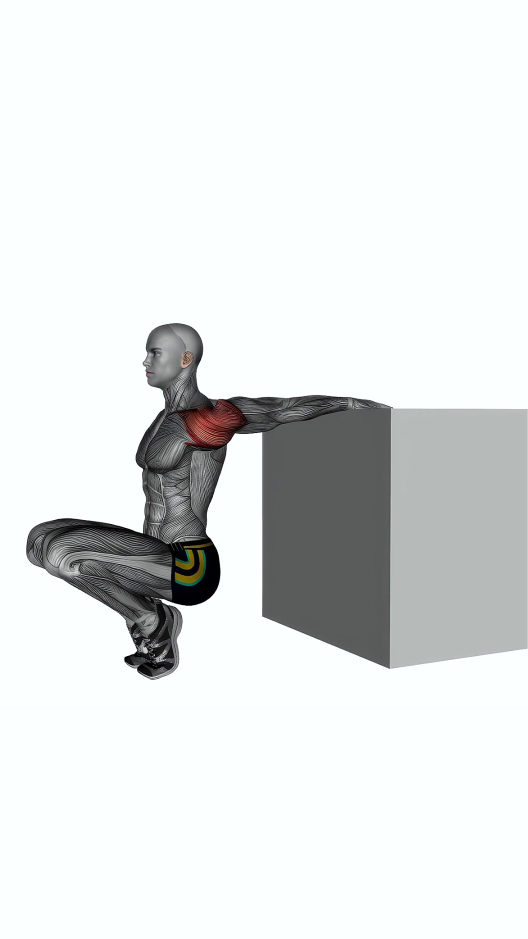 Reverse Shoulder Stretch
