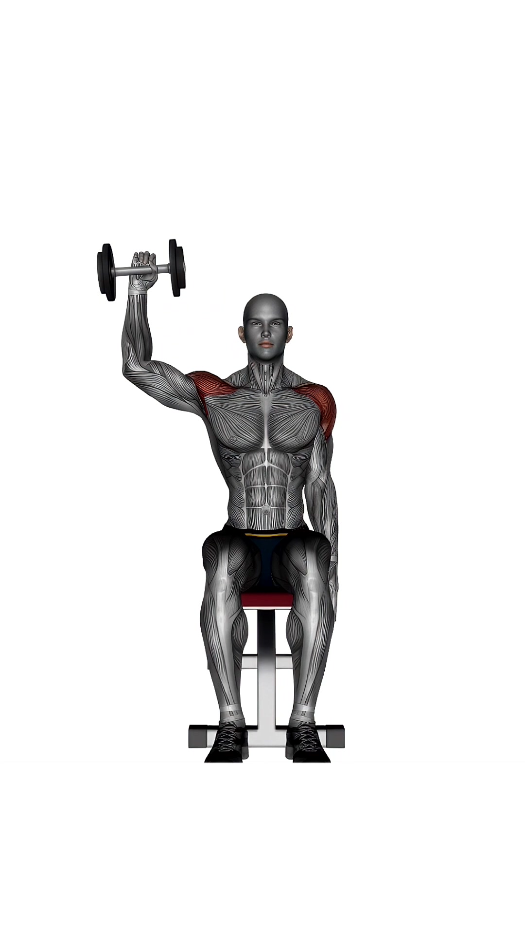 Seated Dumbbell One Arm Shoulder Press