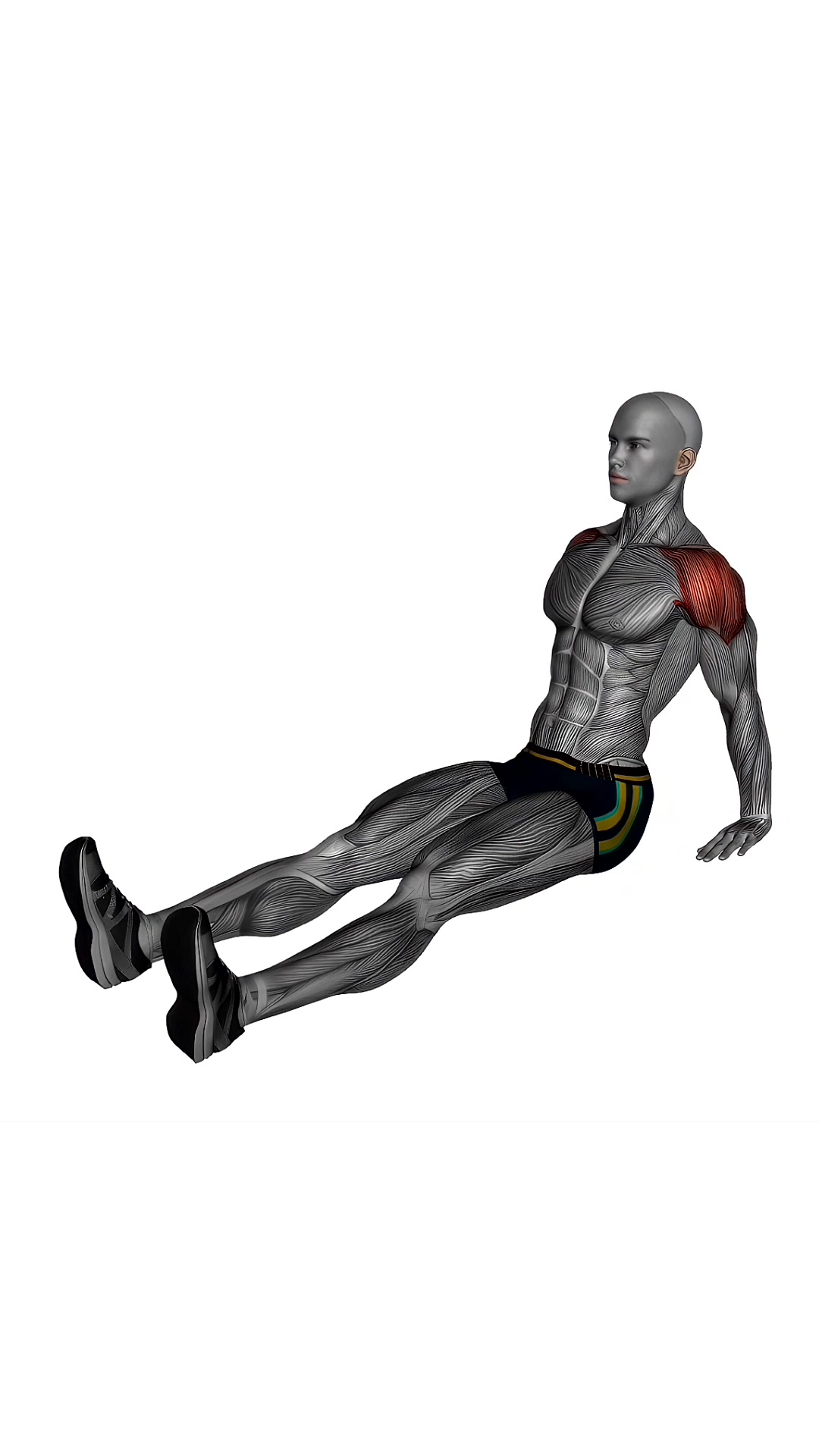 Seated Shoulder Flexor Depressor Retractor Stretch
