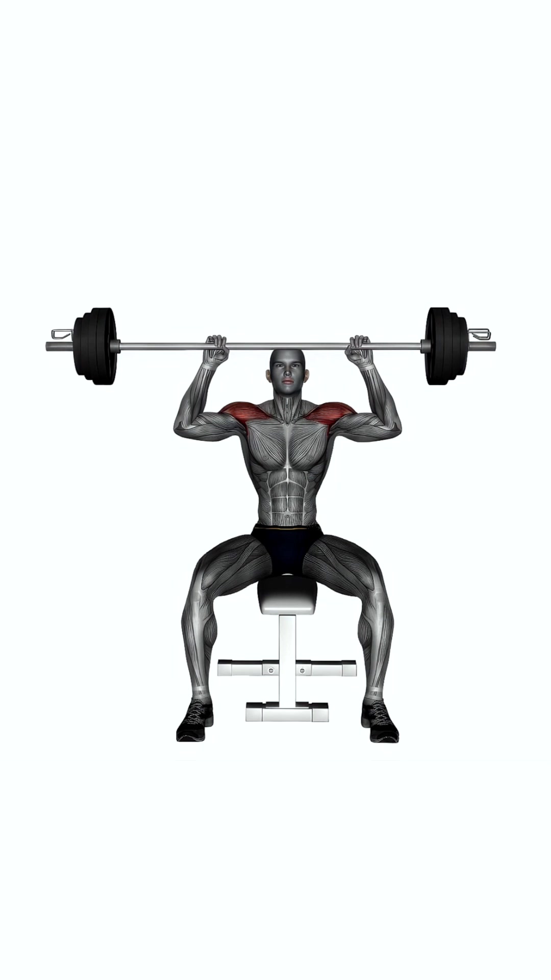 Seated Shoulder Press Barbell