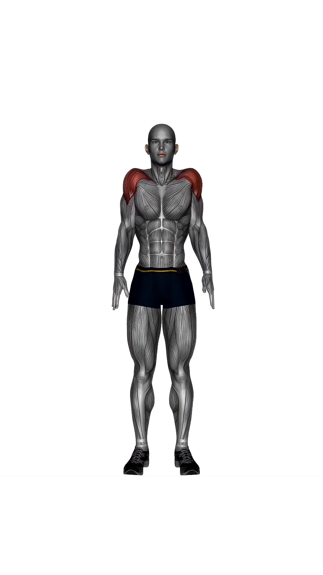 Shoulder Circle