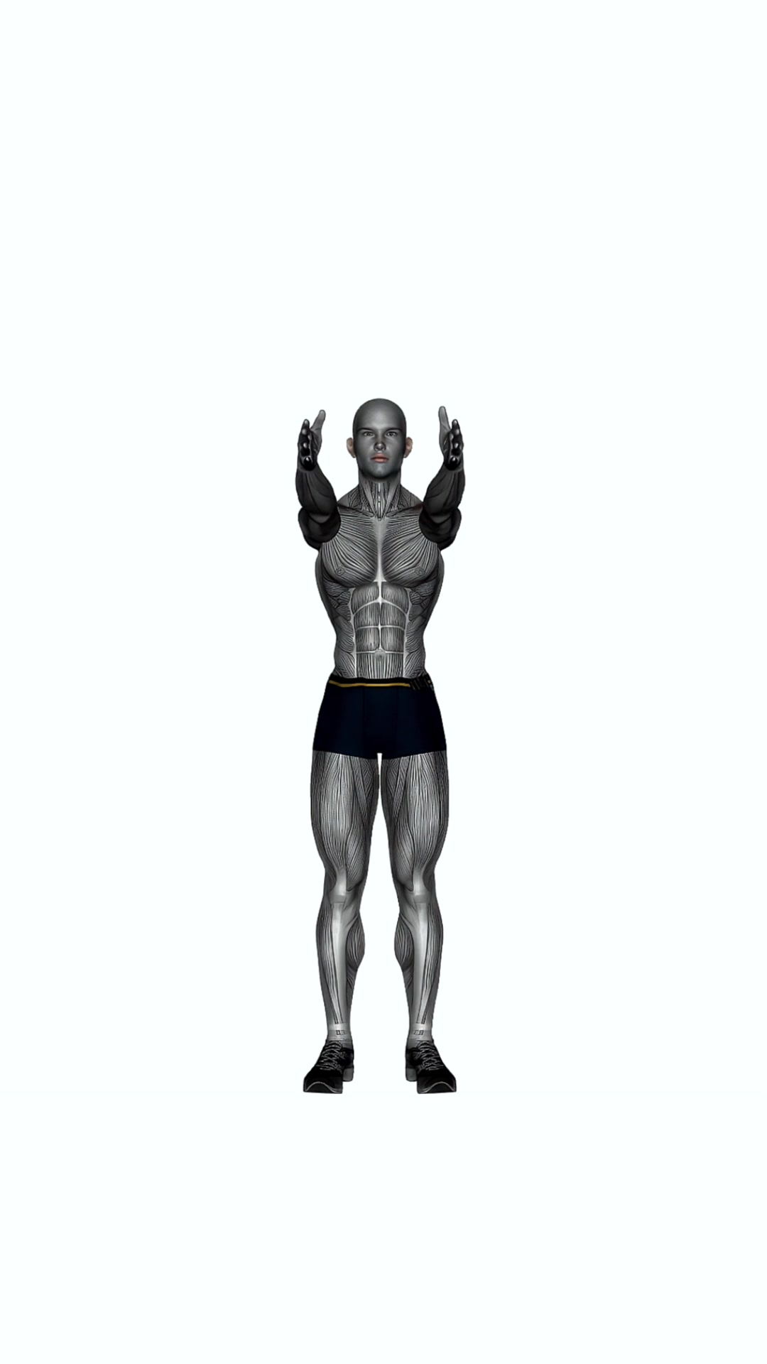 Shoulder Extension