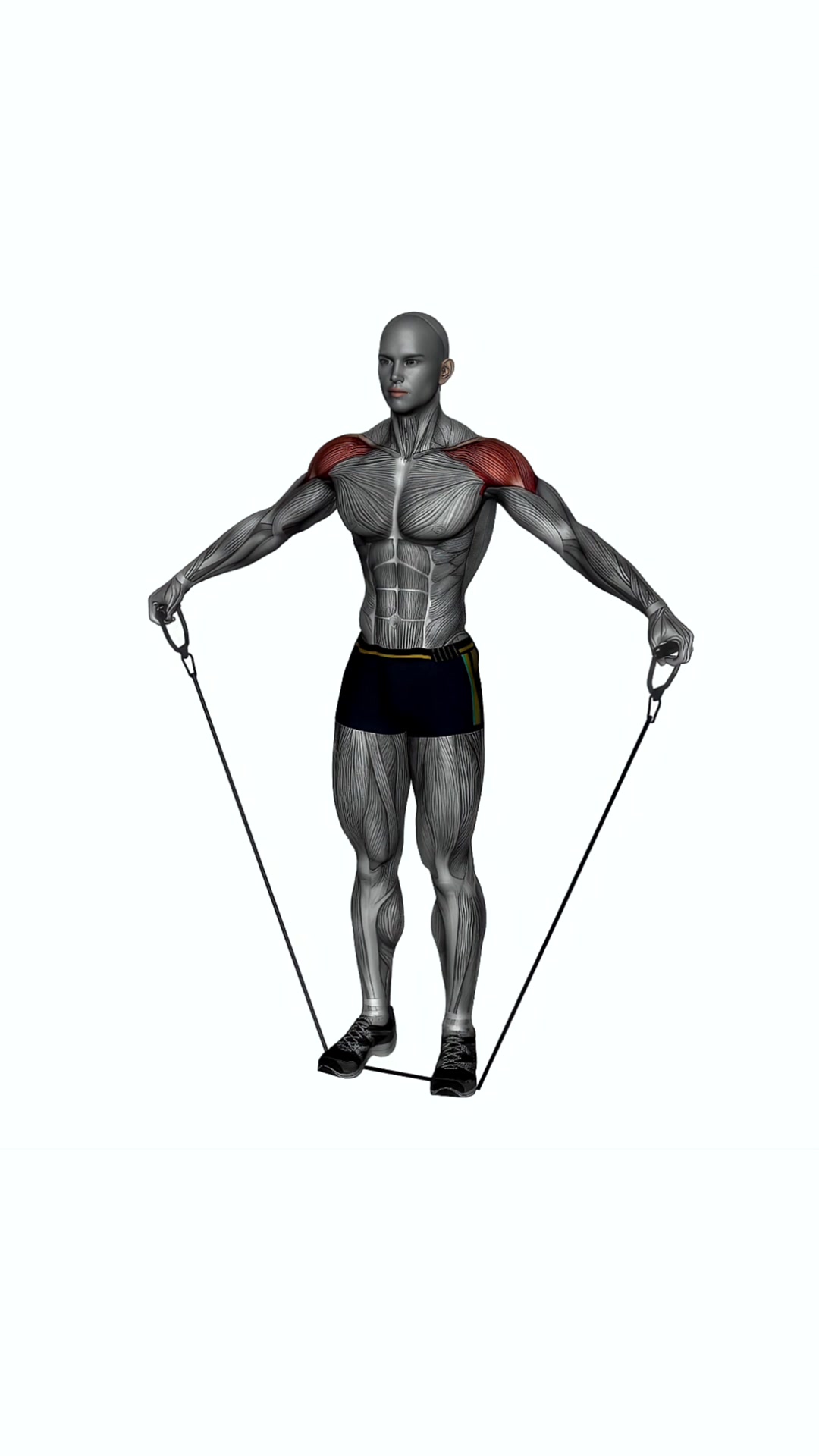 Side Lateral Raise Resistance Band