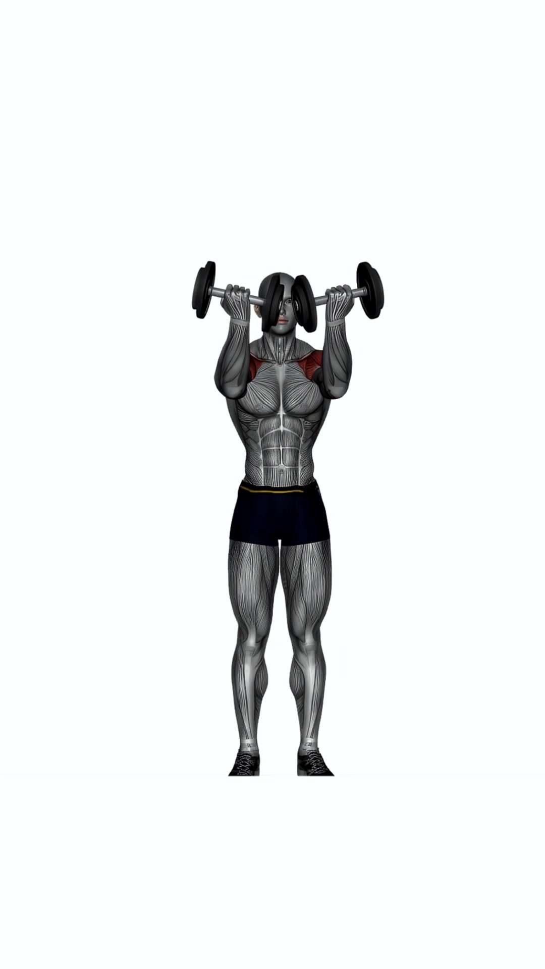 Standing Arnold Press Dumbbell