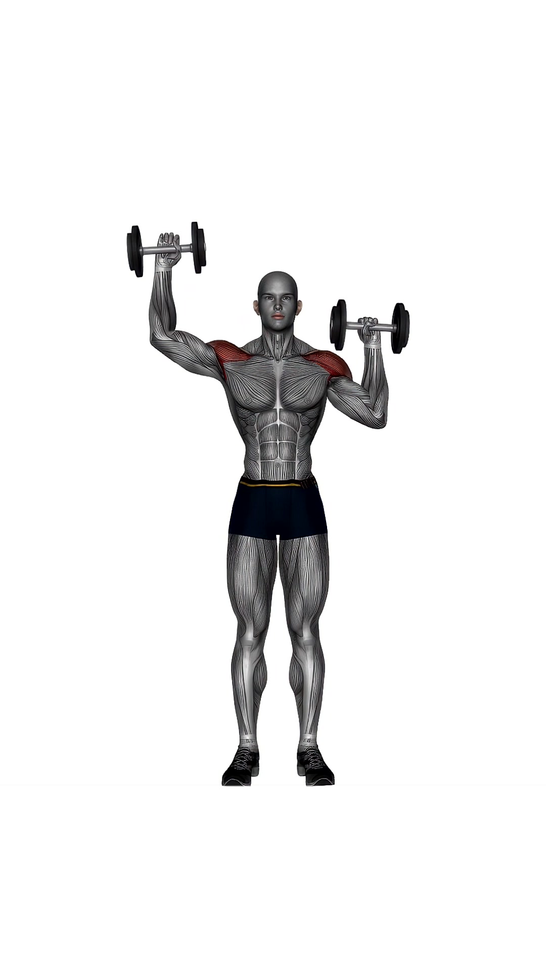 Standing Dumbbell Alternate Shoulder Press
