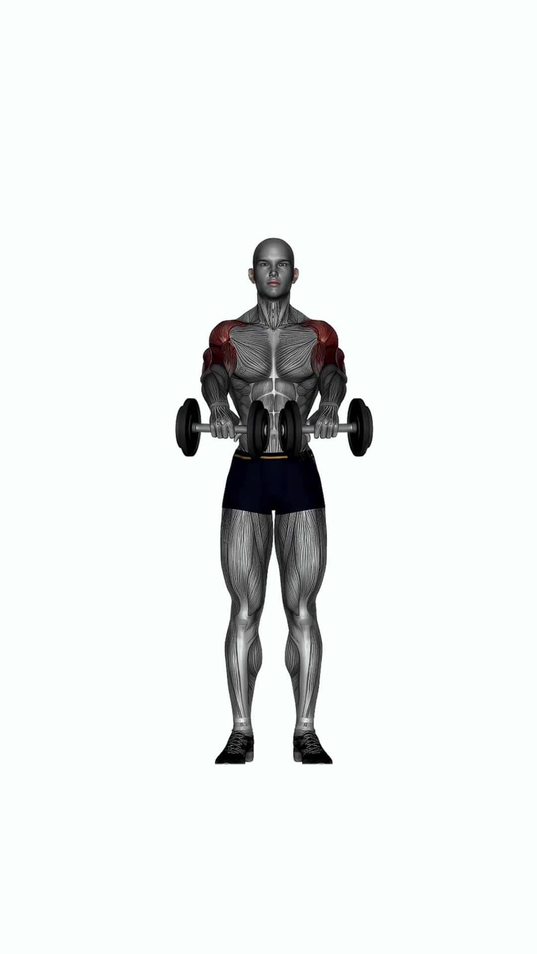 Standing Front Raise Dumbbell
