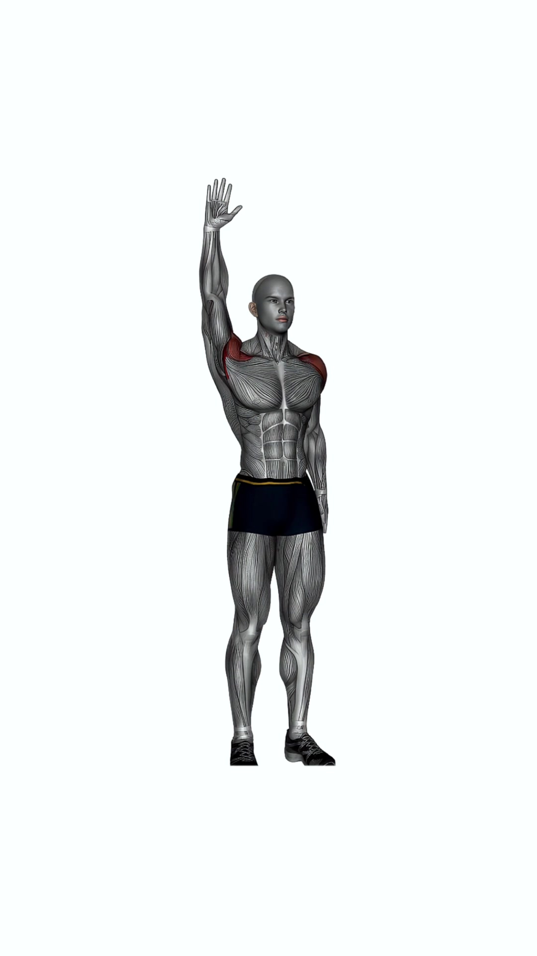 Standing Overhand Shoulder Stretch