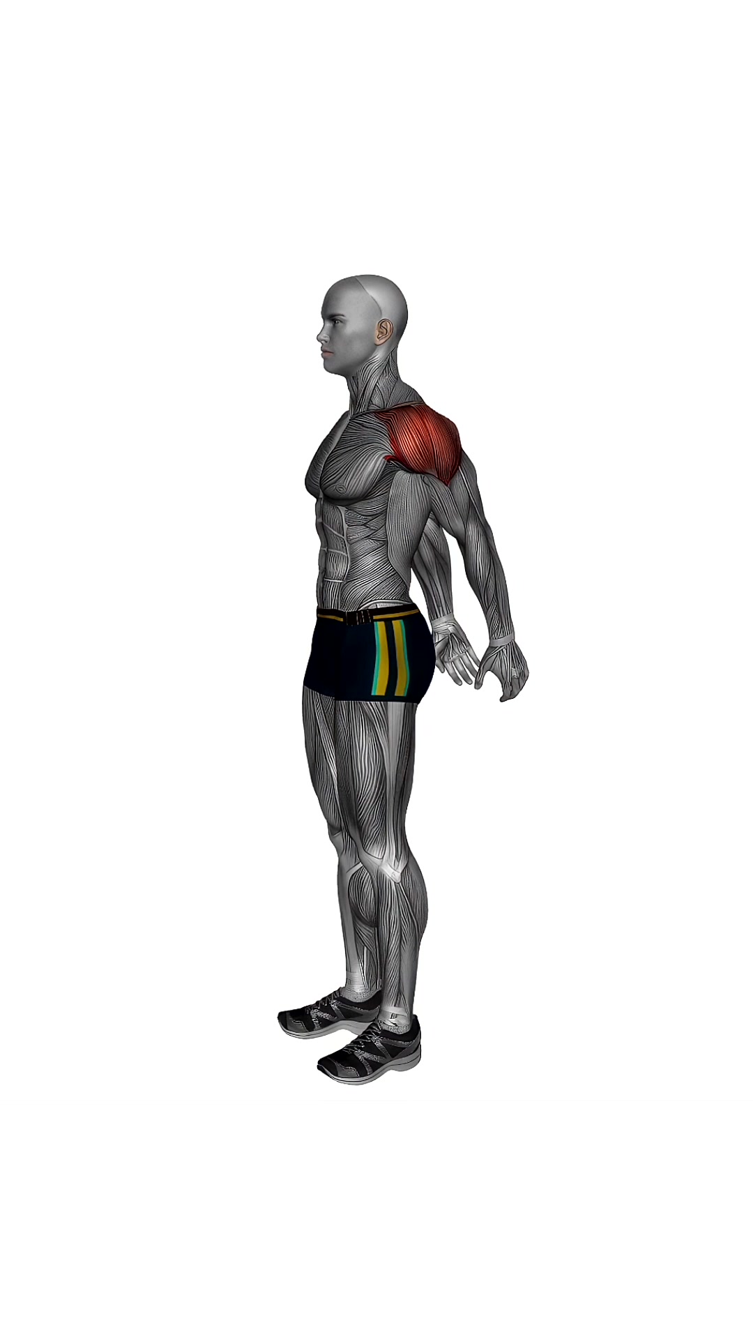 Standing Reverse Shoulder Stretch