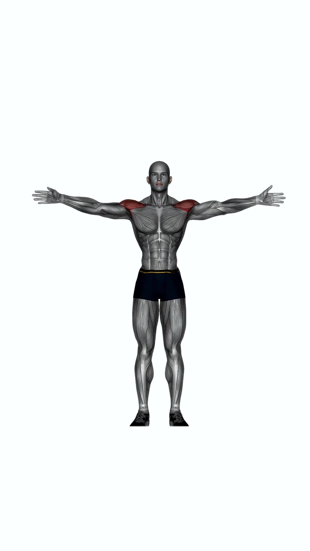 Standing Swimmer
