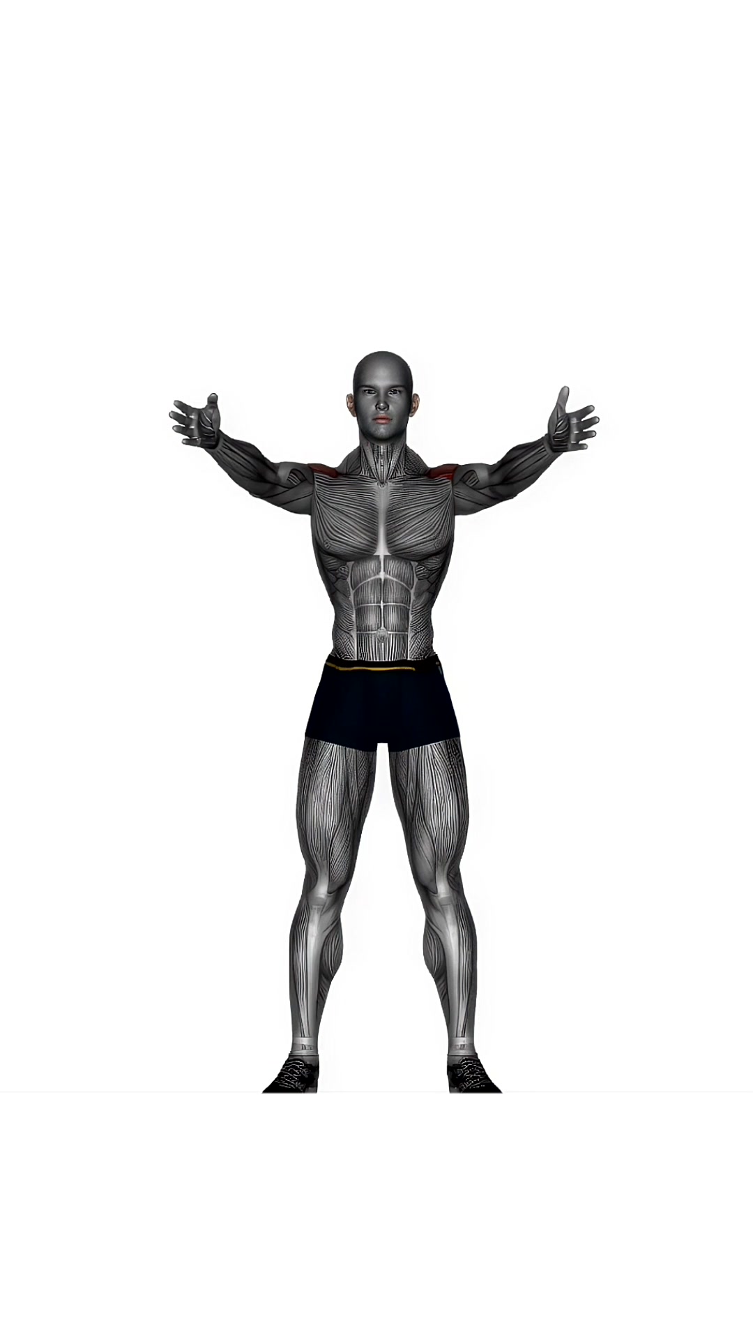 Standing Y Raise