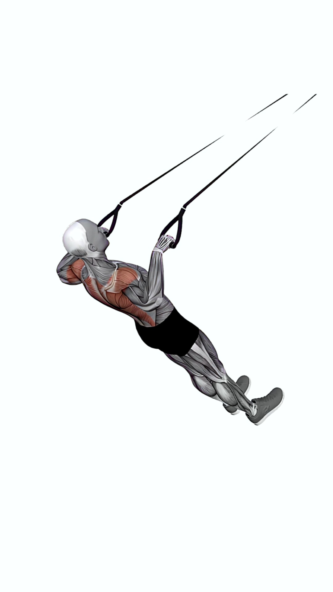 Suspension Trainer With Grips Inverted Row On Floor