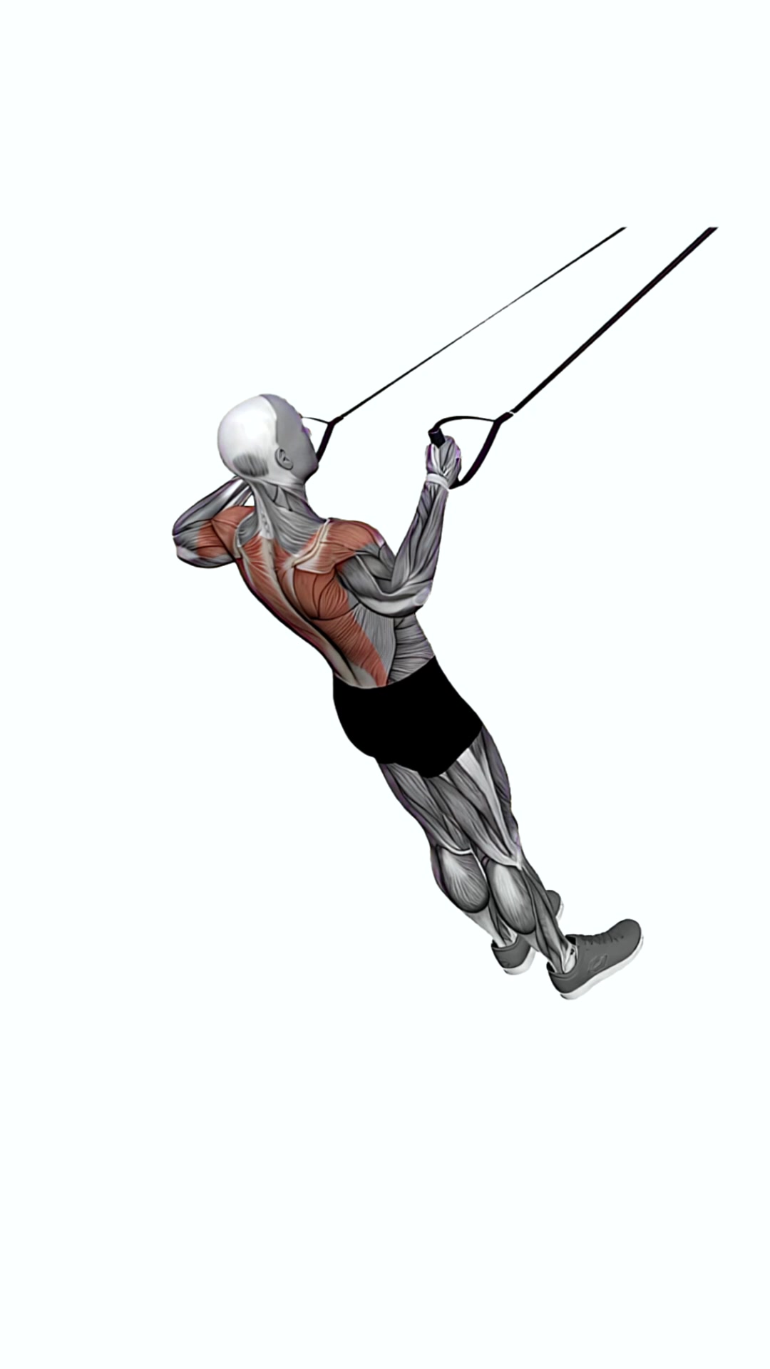 Suspension Trainer With Grips Rear Delt Row