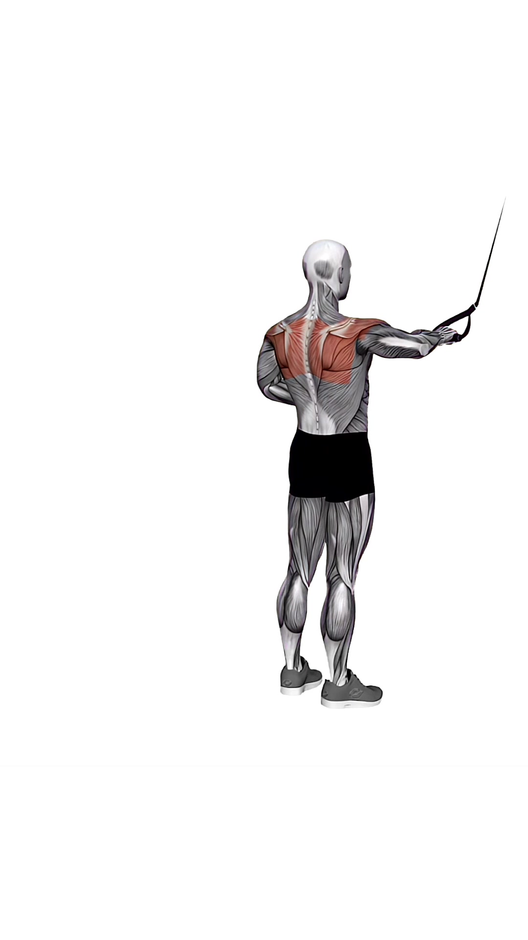 Suspension Trainer With Grips Single Arm Rear Delt Row