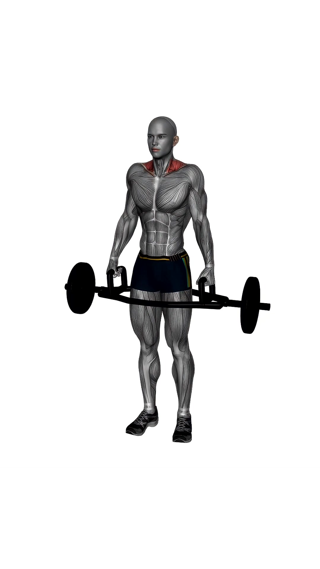 Trap Bar Shrug