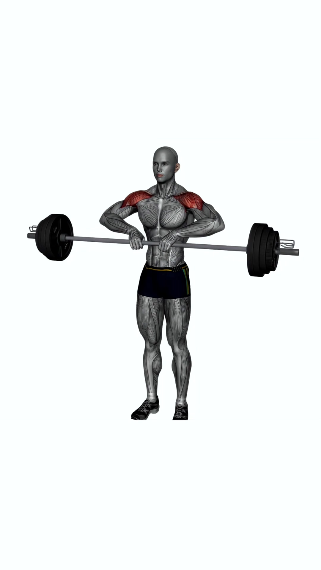Upright Row Barbell