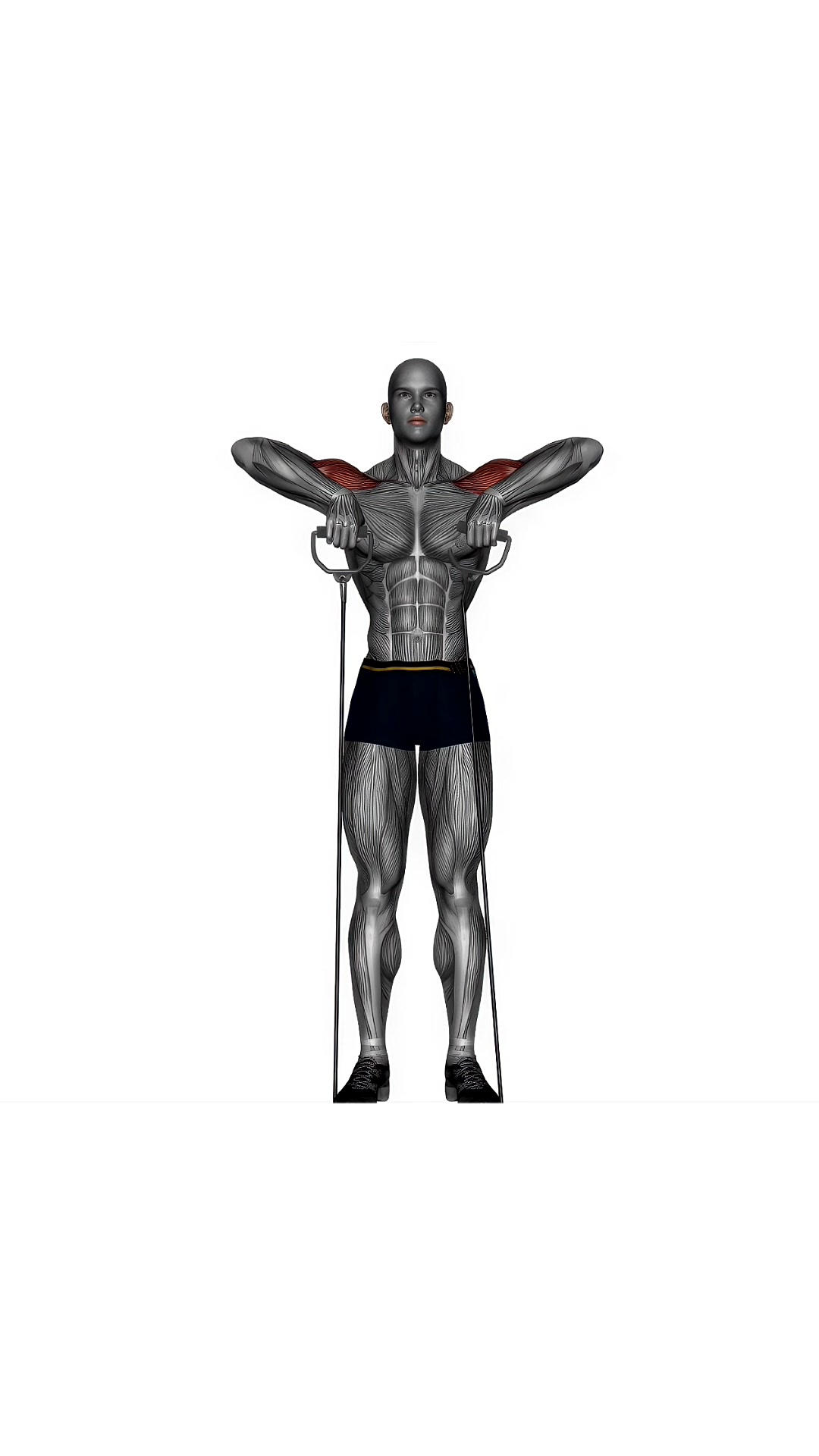 Upright Row Cable Resistance Band