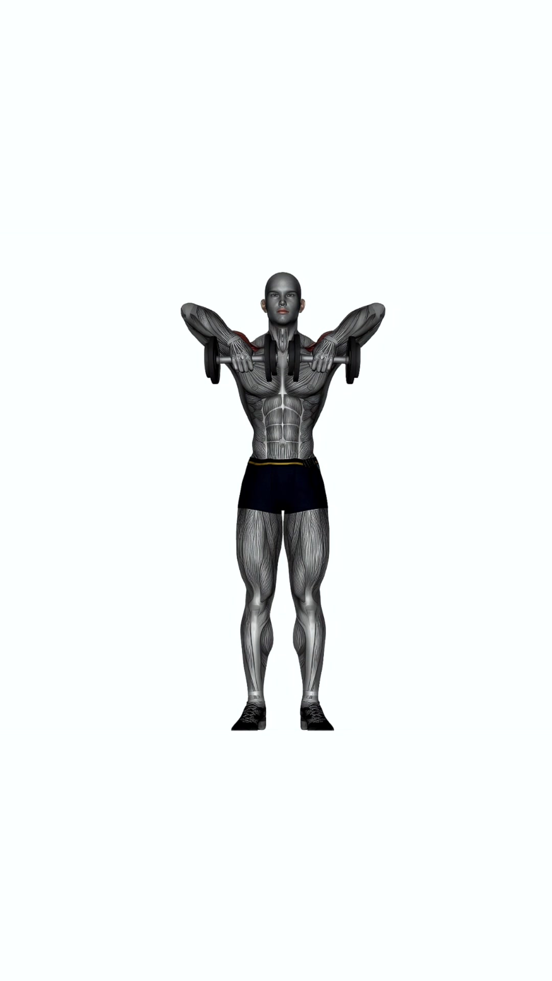 Upright Row Dumbbell