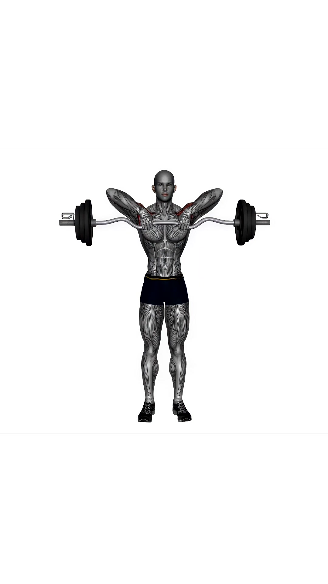 Upright Row Ez Bar