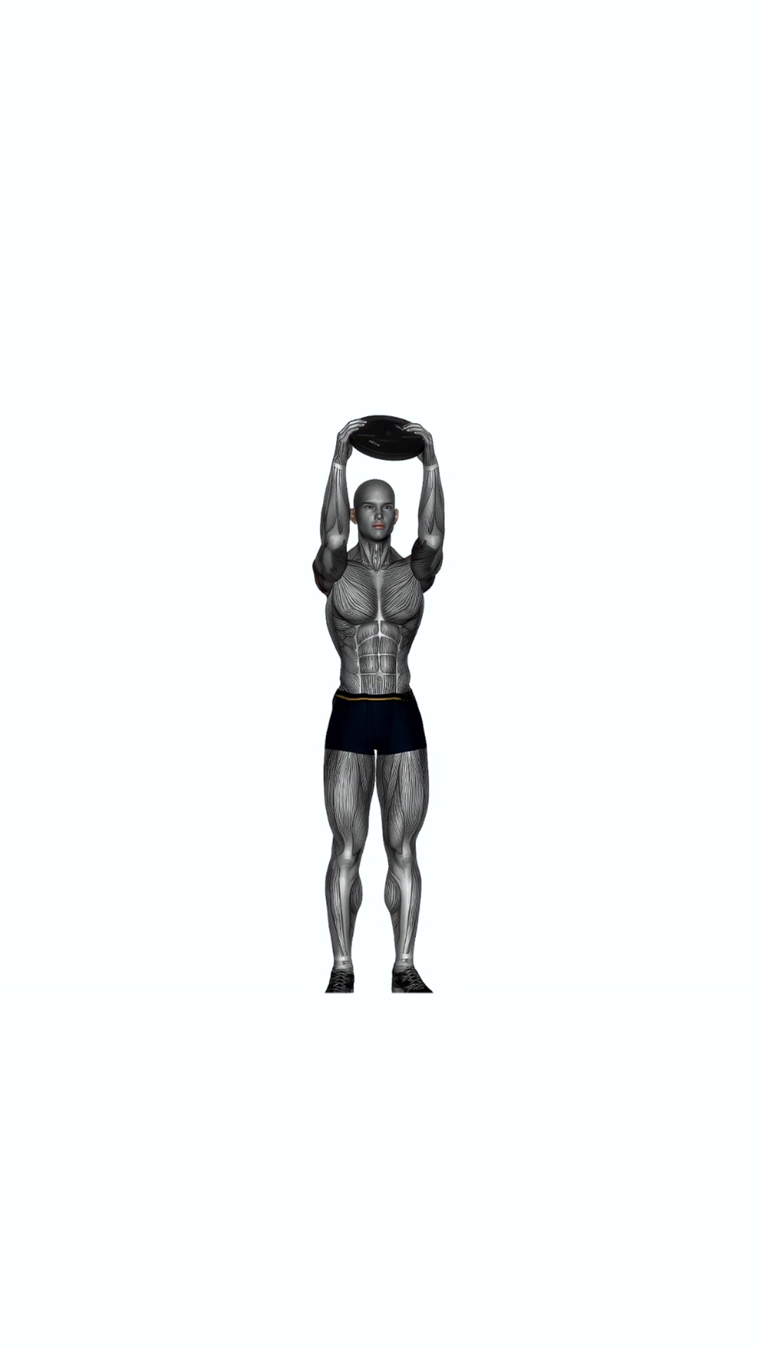 Weighted Standing Shoulder Press With Plate