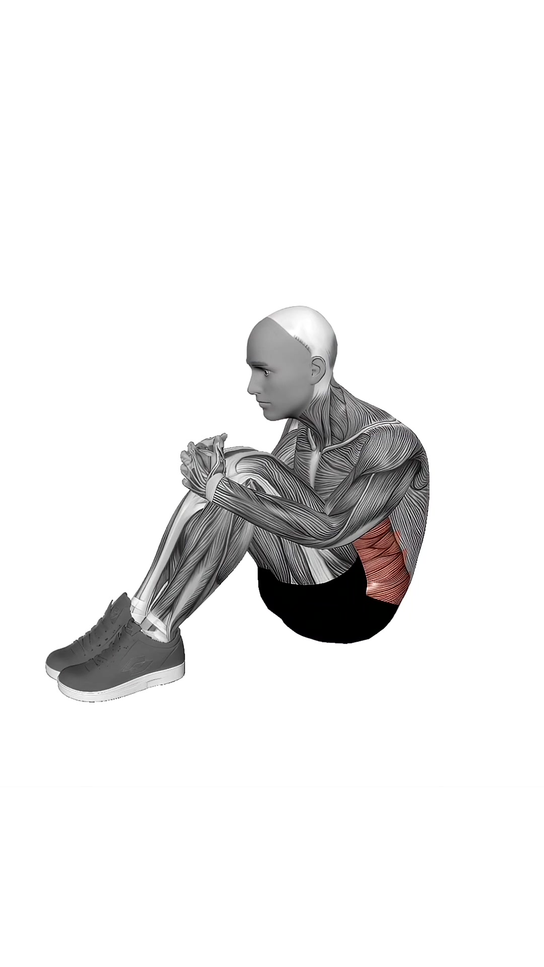 Abdominal Stretch