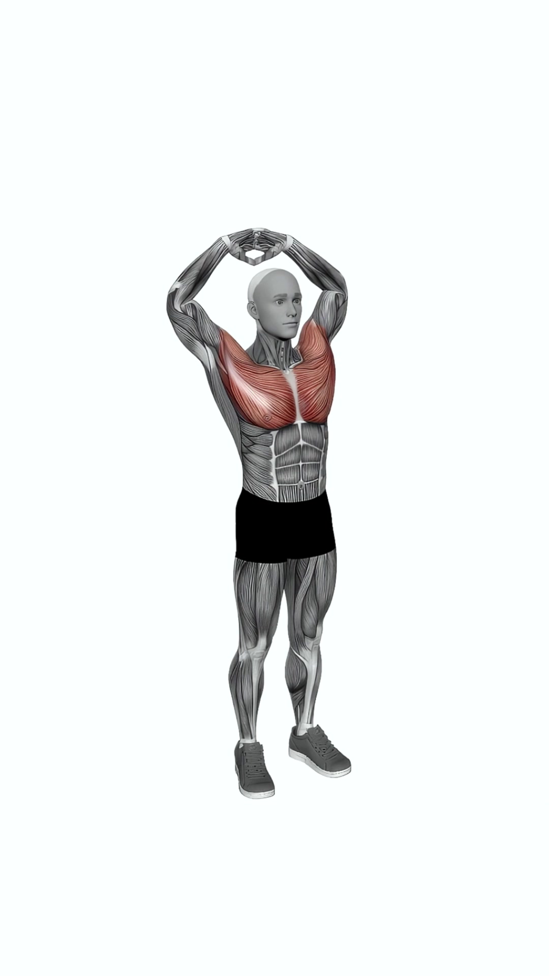 Above Head Chest Stretch