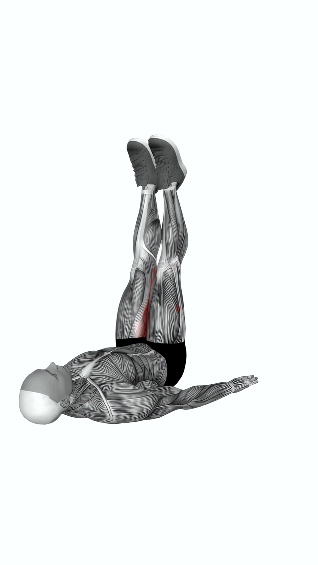 Adductor Dynamic Stretch