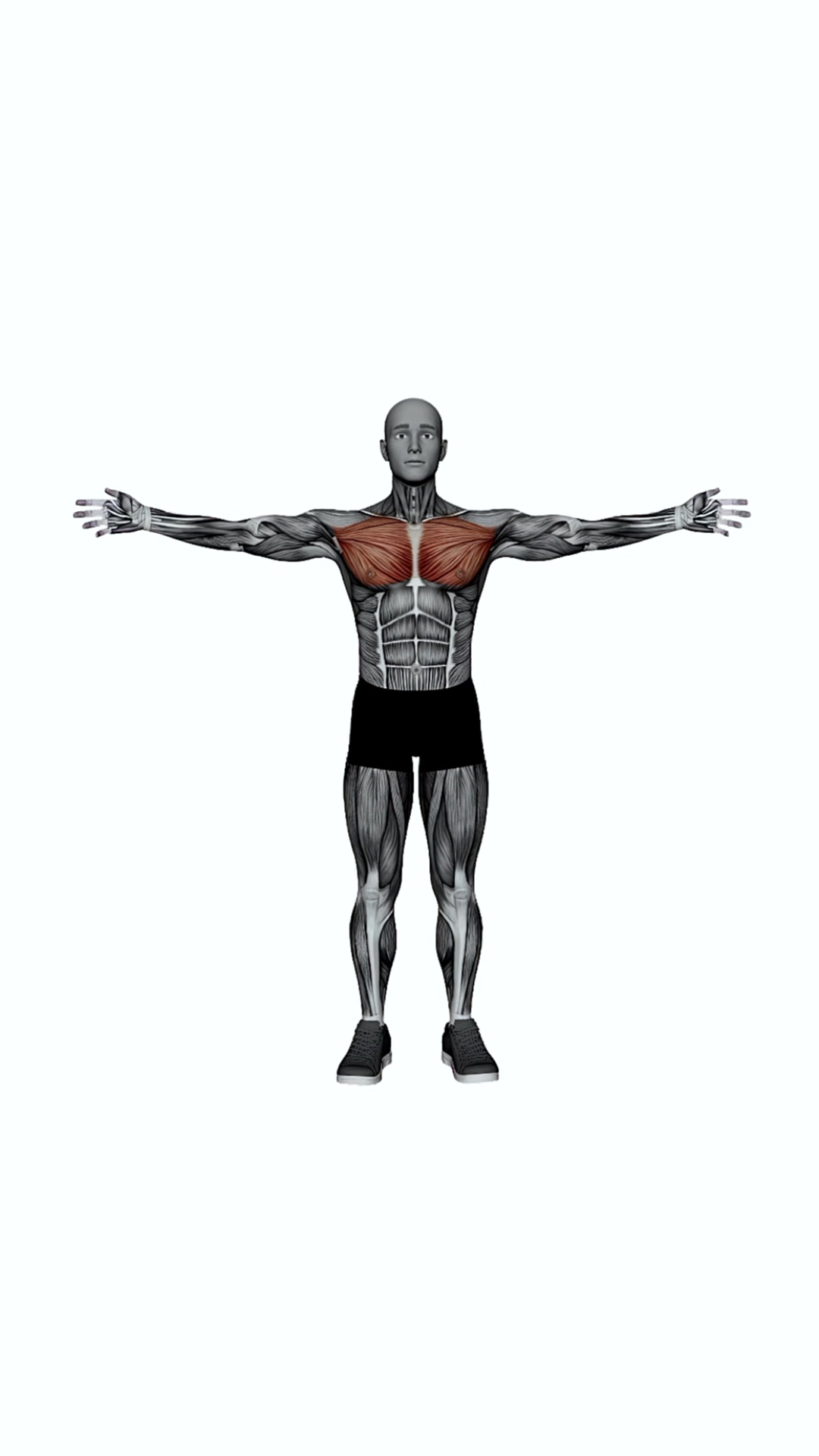 Arms Wide Chest Stretch