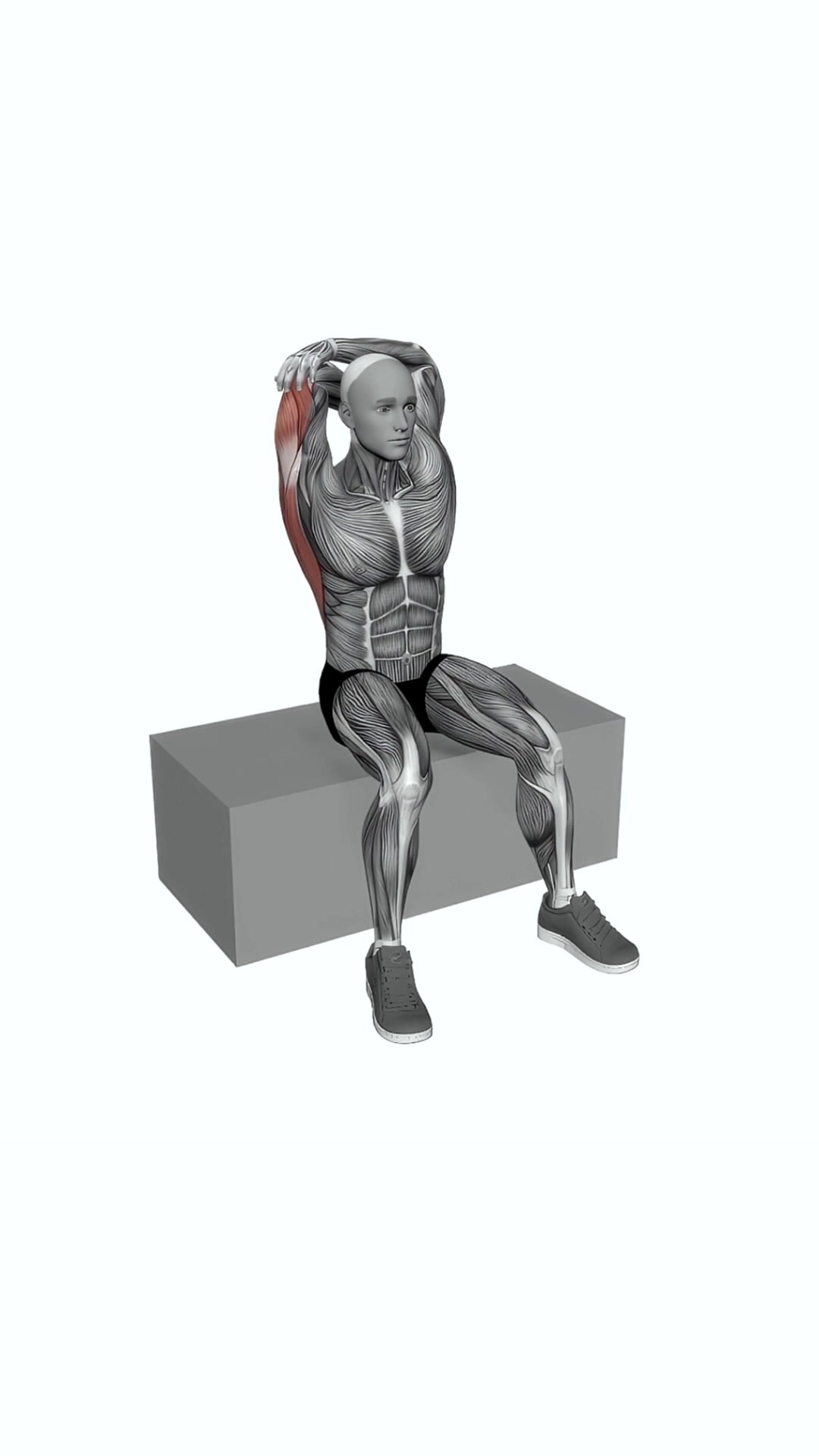 Back And Shoulder Stretch