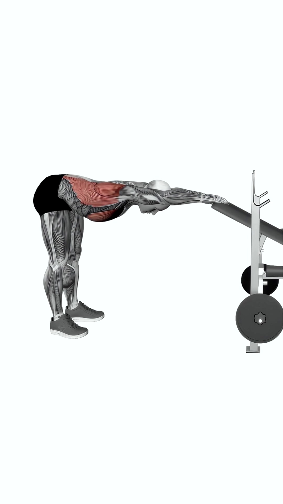 Back Pec Stretch