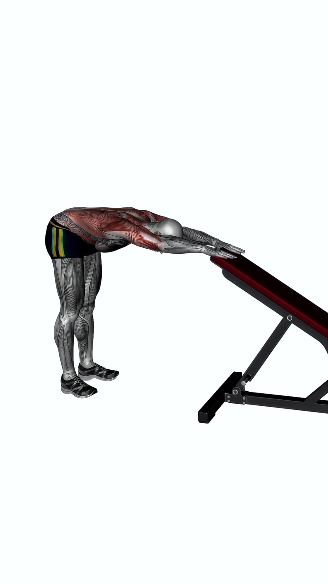 Back Stretch Dynamic