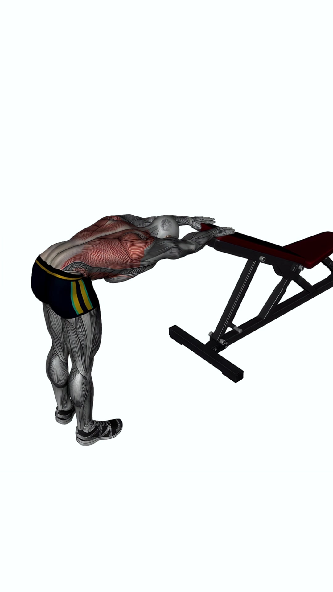 Back Stretch Standing With Bench
