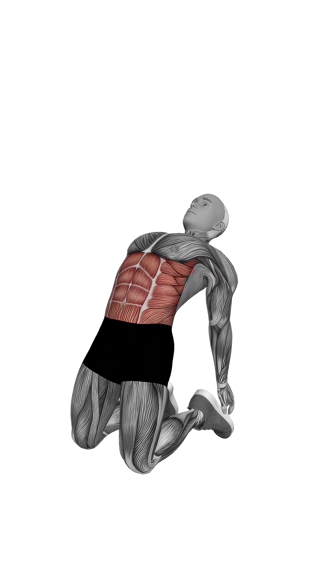 Backward Abdominal Stretch