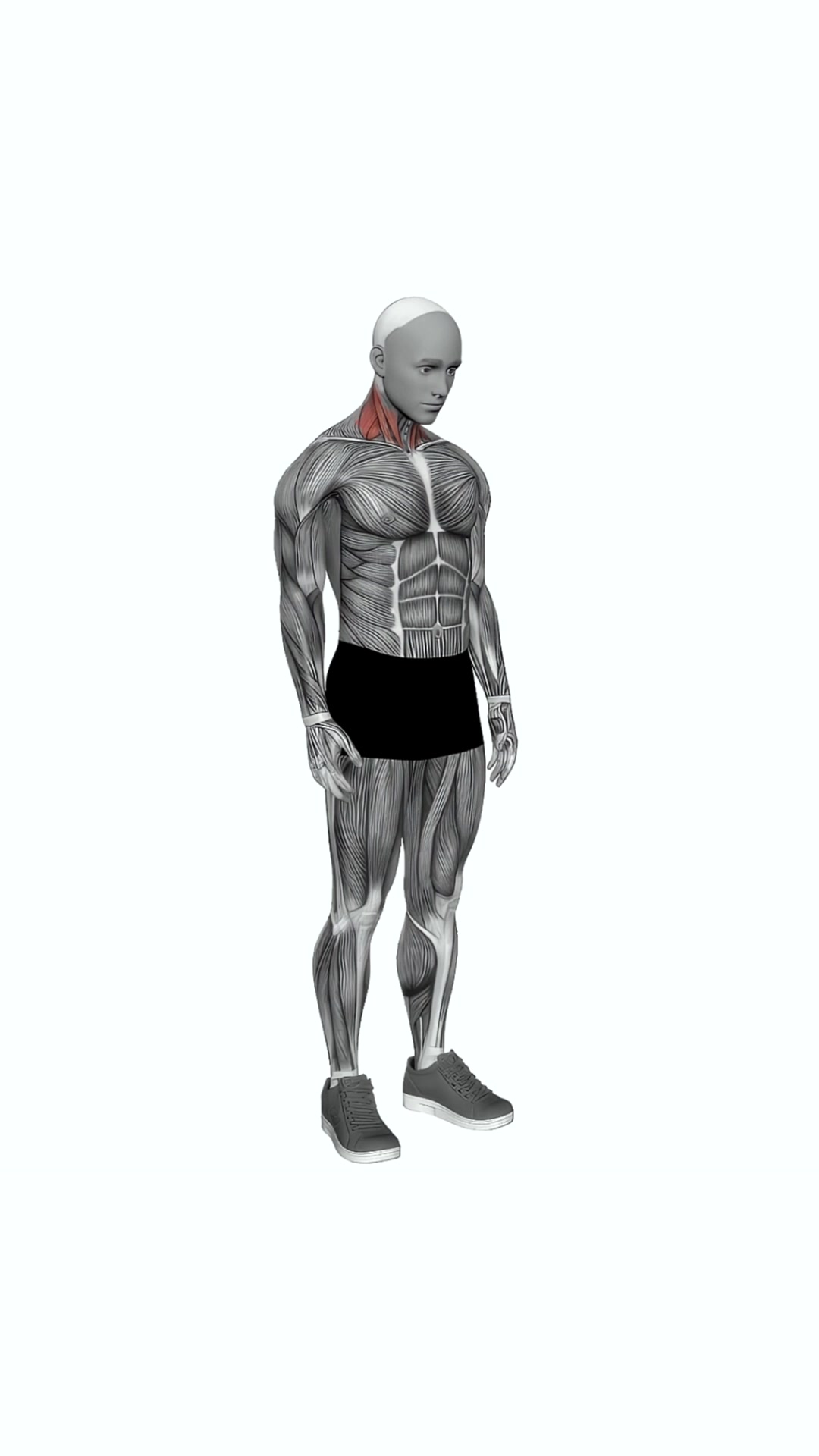 Backward Forward Turn To Side Neck Stretch