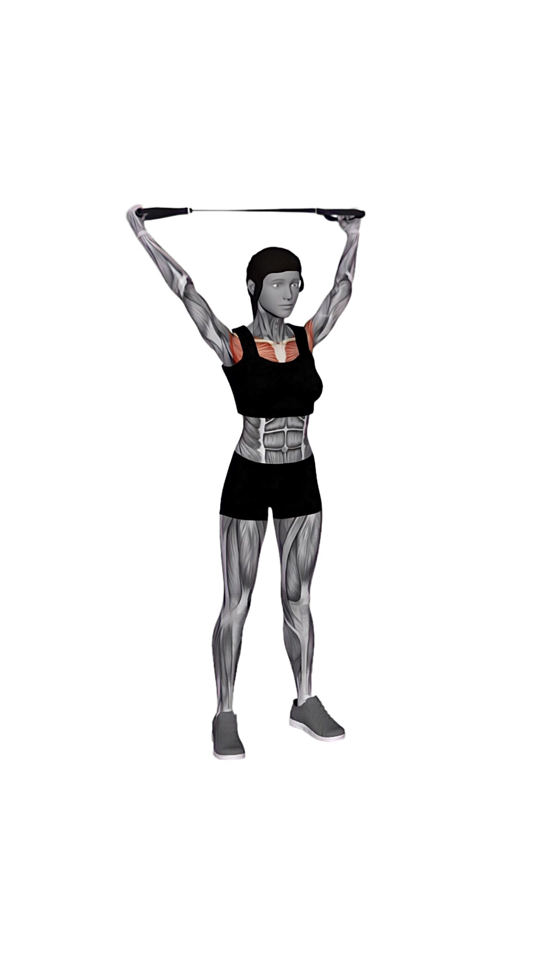 Band Warm Up Shoulder Stretch