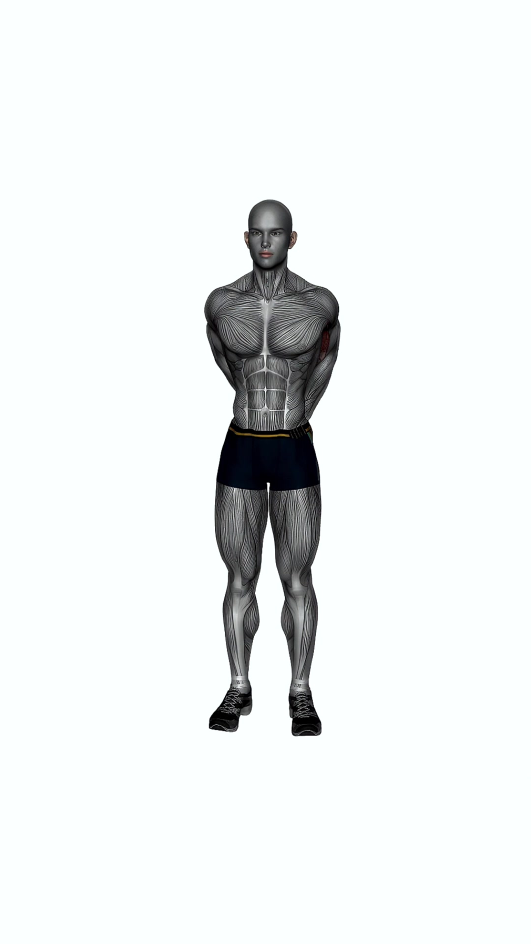 Biceps Stretch Behind The Back