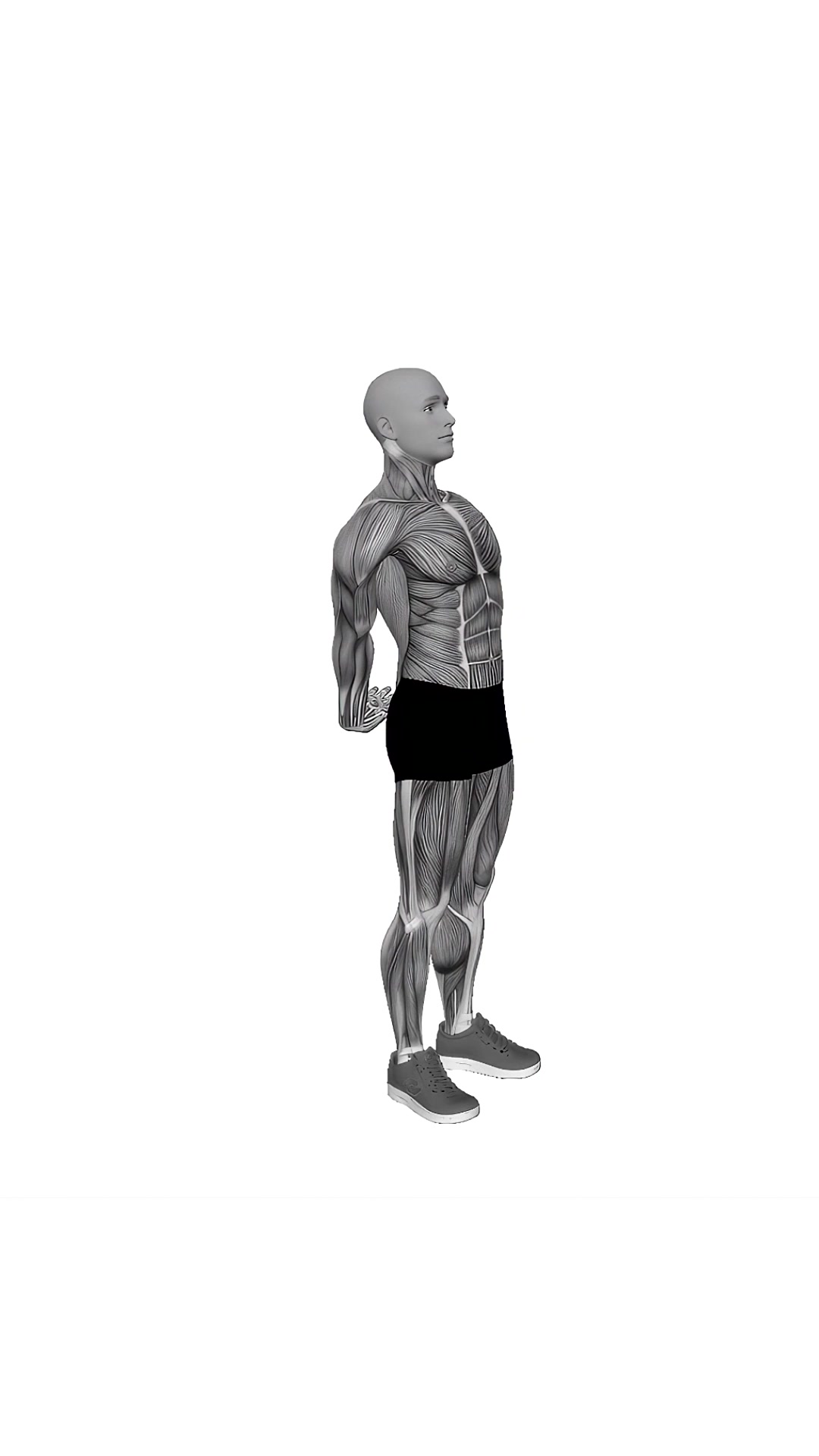 Bodyweight Standing Back Stretch