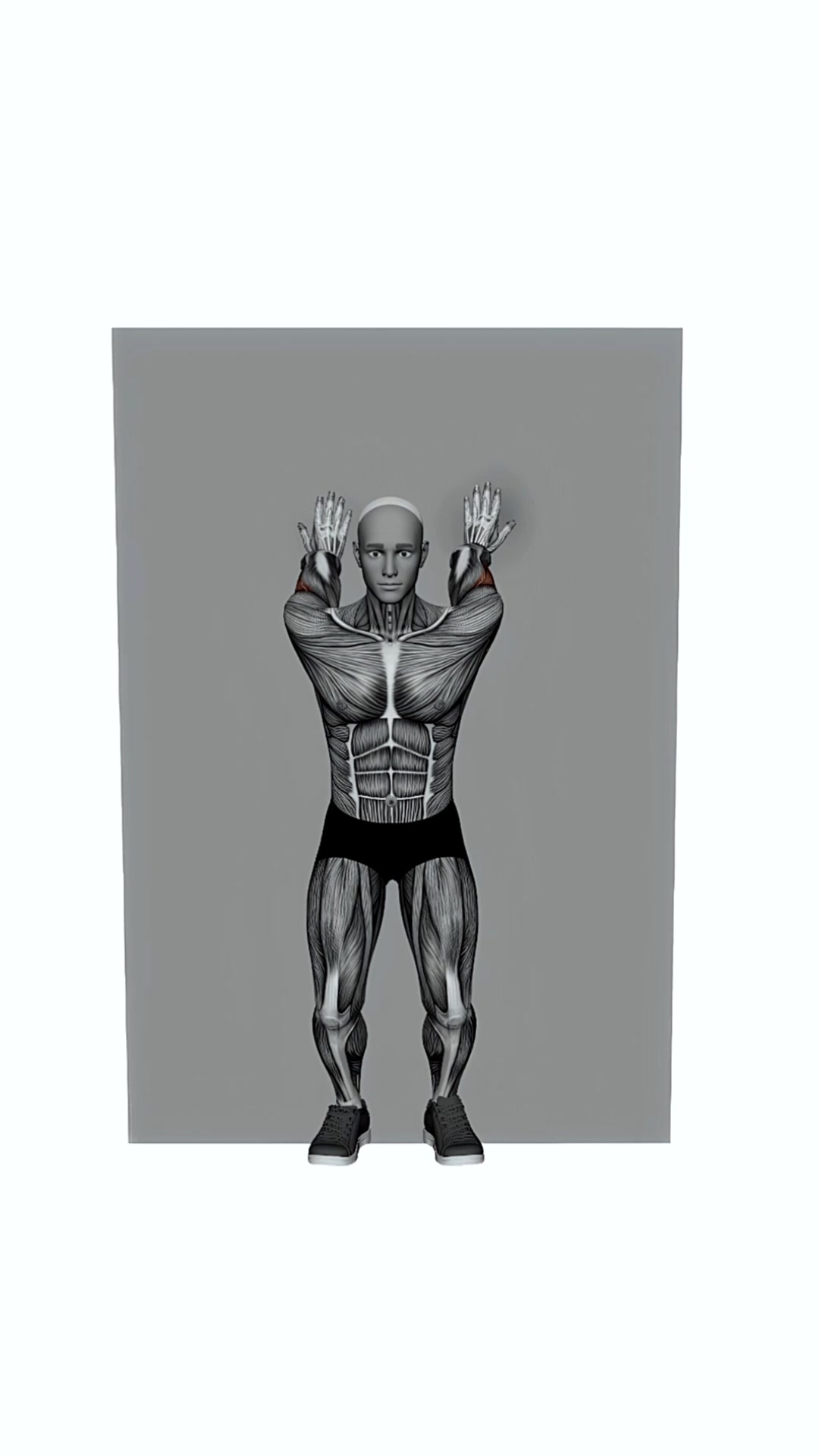 Both Arms Behind On Wall Biceps Stretch