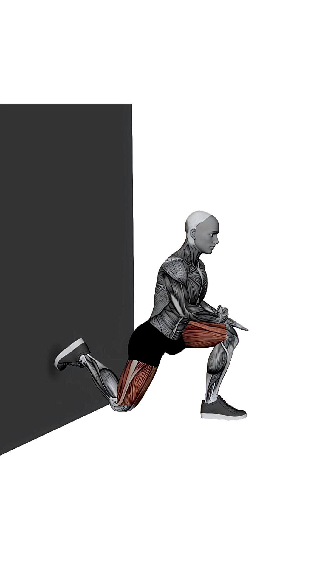 Bulgarian Split Squat Stretch