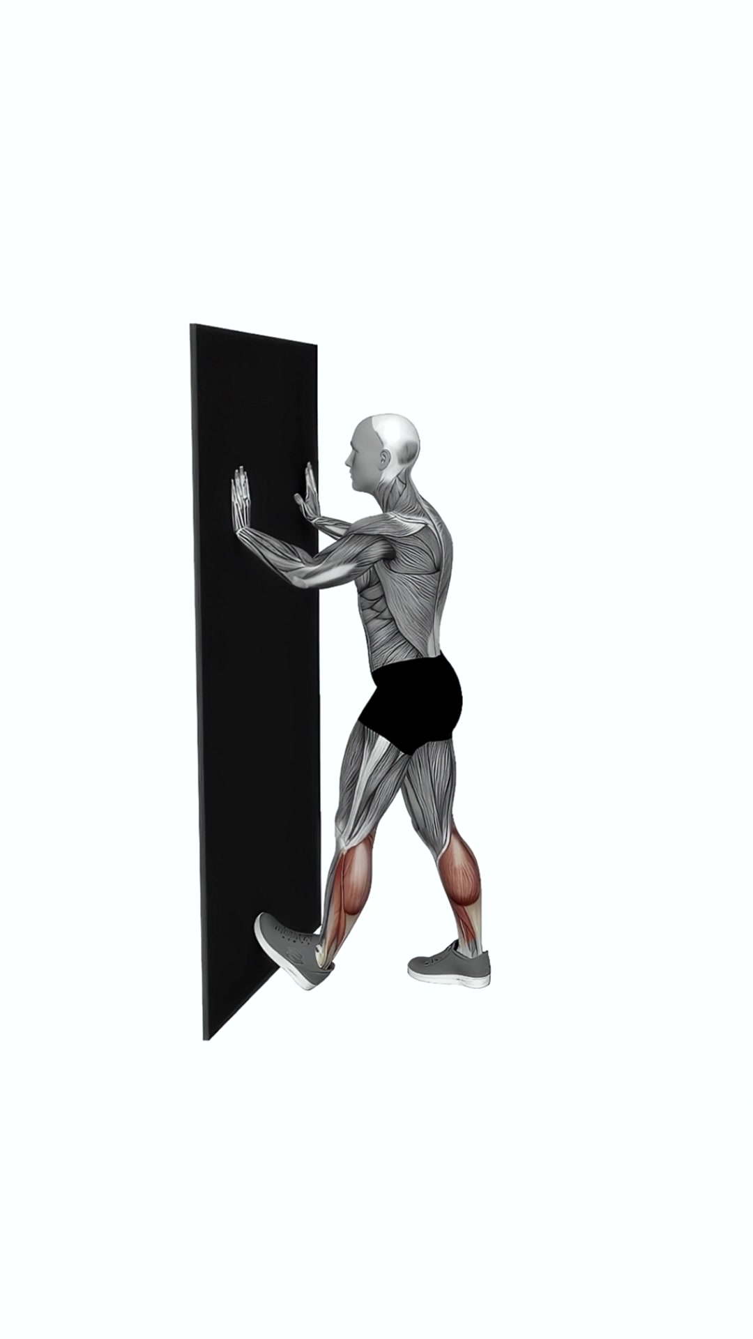 Calf Push Stretch With Hands Against Wall V.2